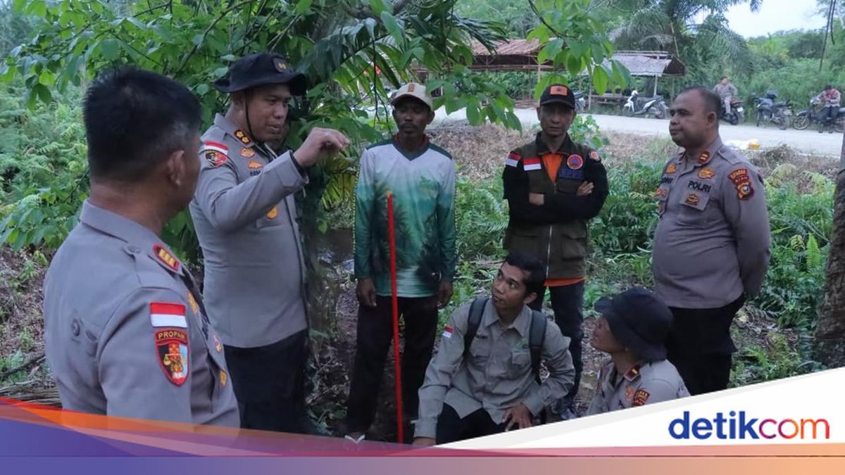 Cegah Karhutla, Polri-TNI Cek Sekat Kanal di Lahan Gambut Kepulauan Meranti — gambar dari Detik