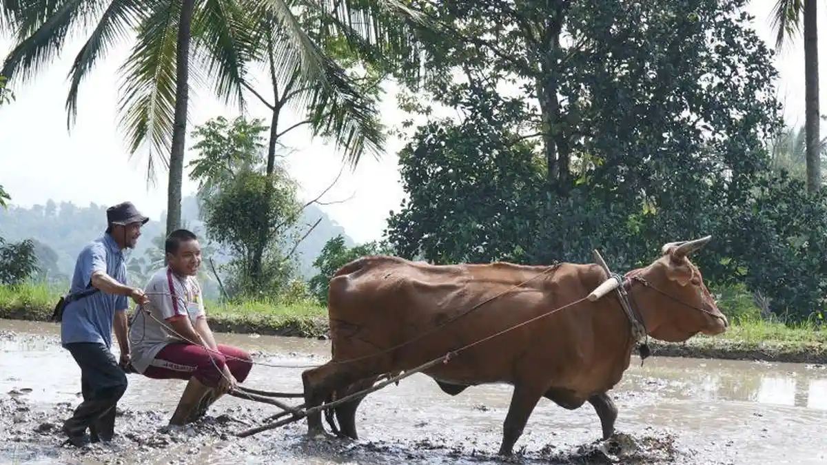 Tujuh Kebiasaan Anak Indonesia Hebat Kemendikdasmen Bentuk Karakter Siswa Dalam TO 2026 — gambar dari Tribun