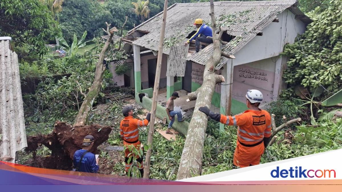 Tertimpa Pohon Tumbang, Rumah Warga di Bogor Rusak — gambar dari Detik