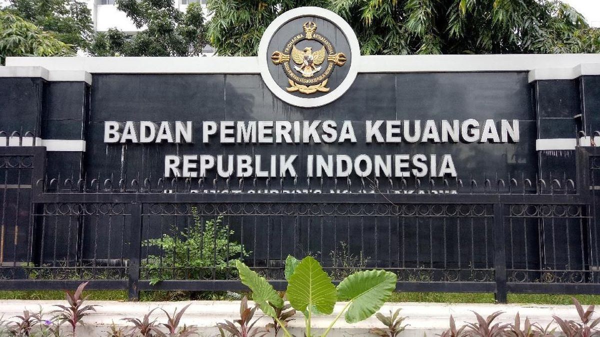Rekam Jejak 2 Anggota BPK Pilihan Komisi XI DPR — gambar dari CNN Ekonomi