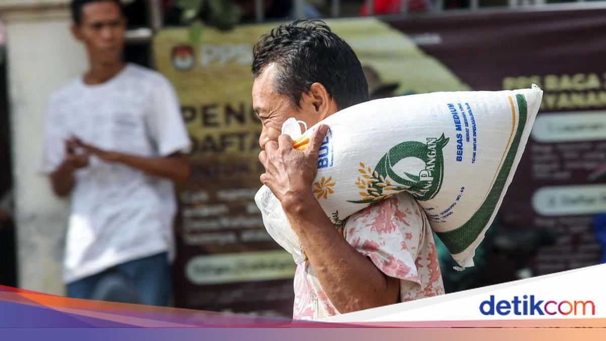 Warga Desil 1 sampai 4 Dapat Beras 10 Kg/ Bulan — gambar dari Detik Finance