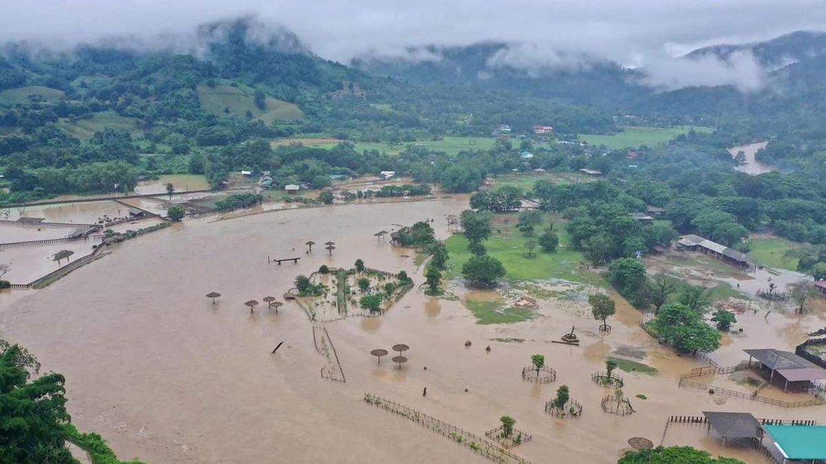 Banjir Thailand, Ular hingga Buaya Raksasa Bermunculan — gambar dari CNN Internasional