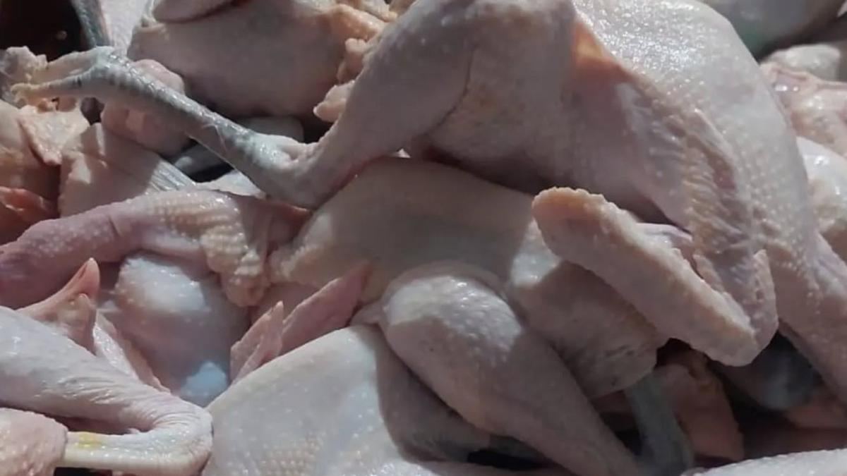 Ayam Kampung Lebih Sehat dari Broiler? Ahli Ungkap Beda Kandungan Gizinya — gambar dari Liputan6 Kesehatan