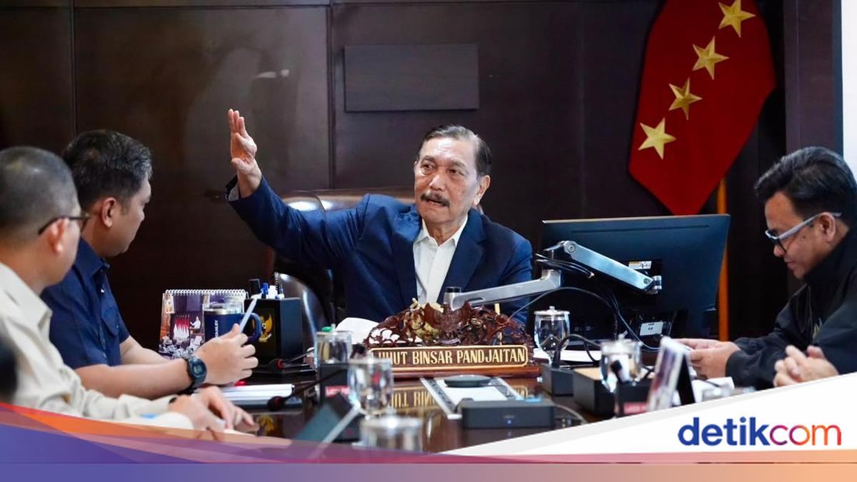 Luhut Minta Investor Tak Ragu: Indonesia Tidak Akan Kolaps! — gambar dari Detik Finance