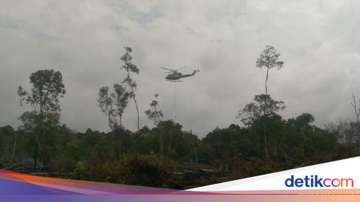 Negeri Johor Malaysia Tutup Sekolah 2 Hari Akibat Kabut Asap — gambar dari Detik