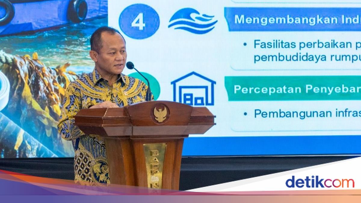 Menperin Targetkan Produksi Rumput Laut RI Nomor Satu Dunia — gambar dari Detik Finance