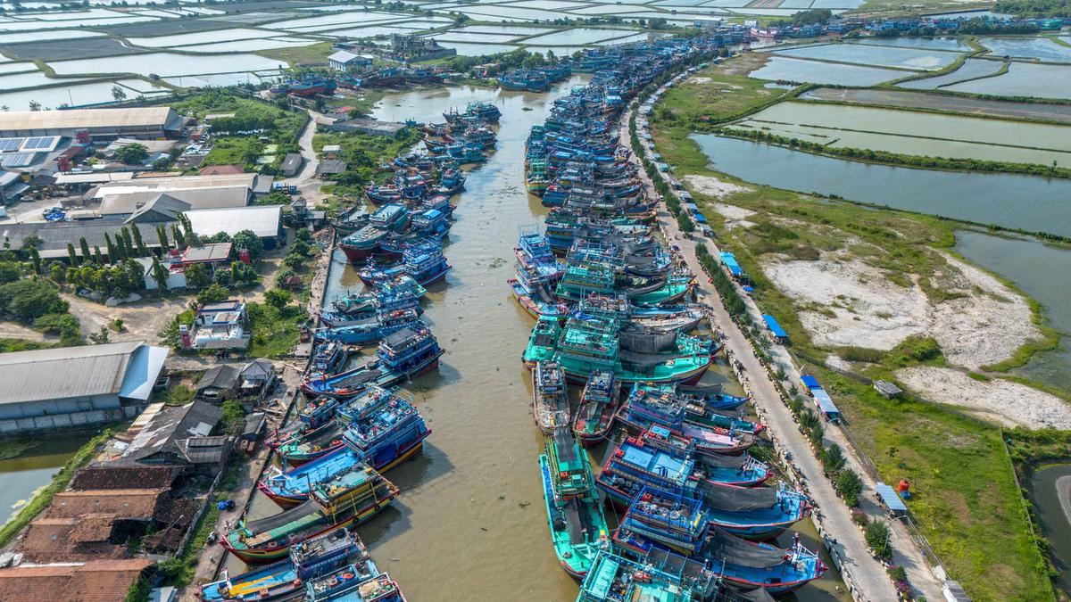 Petani dan Nelayan Bakal Ikut Menikmati Pembiayaan Karbon — gambar dari Liputan6 News
