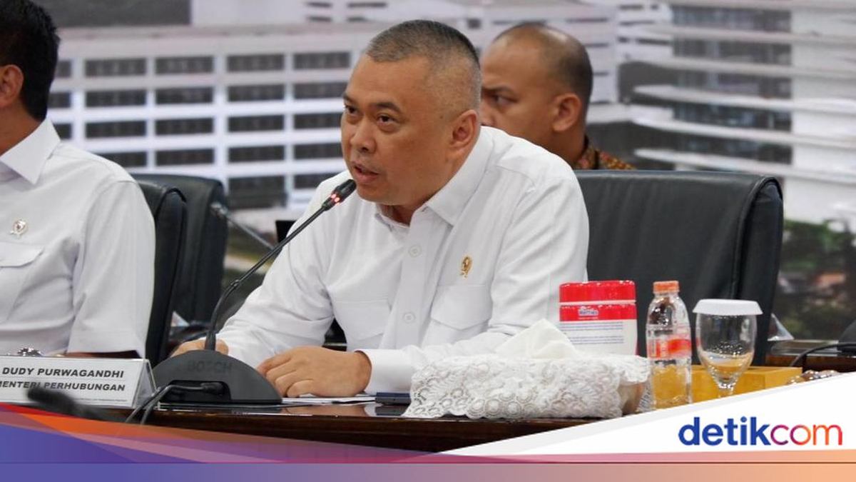 Menhub Buka Opsi Aturan Tarif Batas Tiket Pesawat Diterapkan di Moda Lain — gambar dari Detik Finance