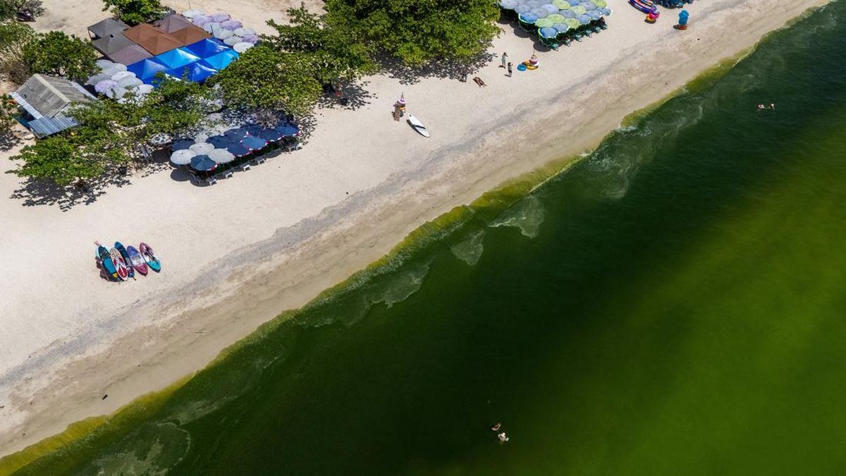 FOTO: Fenomena Ledakan Plankton Menghijaukan Laut Thailand — gambar dari CNN Teknologi
