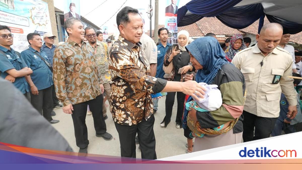 Tinjau BSPS di Purwakarta, Mendagri Pastikan Program Tepat Sasaran — gambar dari Detik