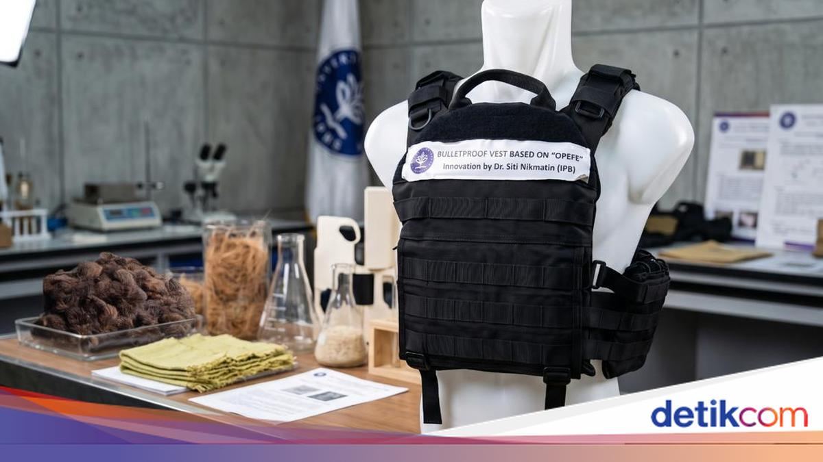 Limbah Tandan Kosong Sawit Disulap Jadi Helm hingga Rompi Antipeluru — gambar dari Detik Finance